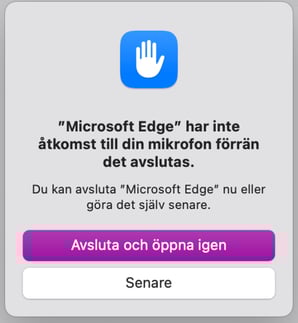Skärmavbild 2025-01-13 kl. 16.59.13